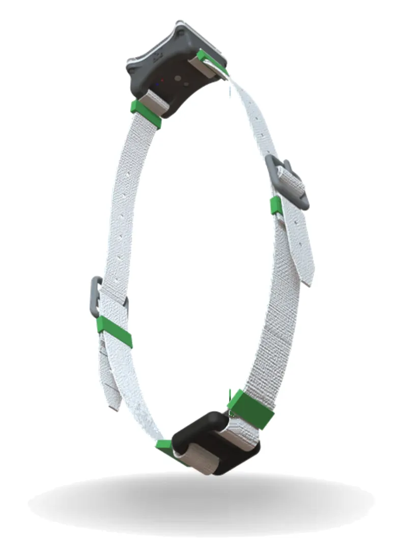 Collar de actividad